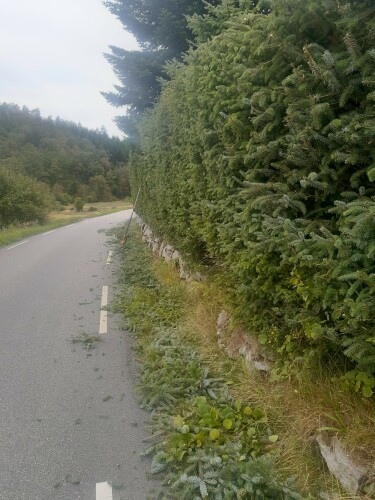 Birkeland Skog Og Maskin AS