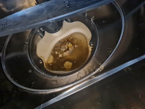 Happy Buddha Nerijus Gerve