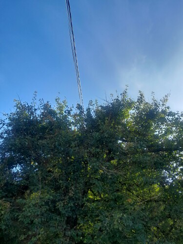 Birkeland Skog Og Maskin AS