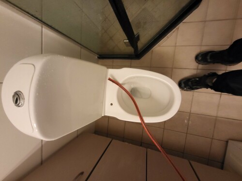 Maler & Reparasjonspartner Ceobanu