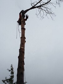 Huatorpet Håndverkertjenester