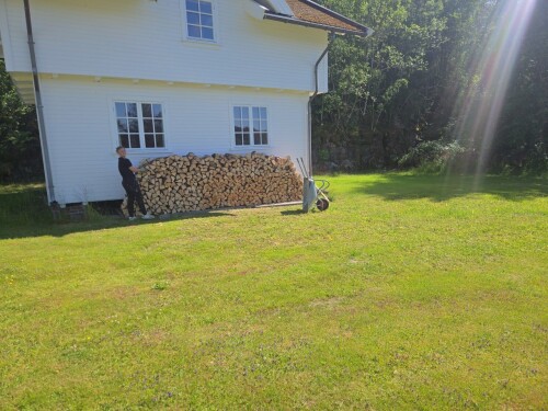 Maler & Reparasjonspartner Ceobanu