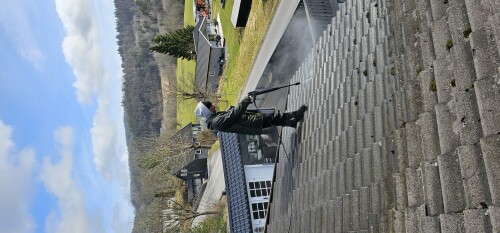 Constantin Tofolan Multiservice