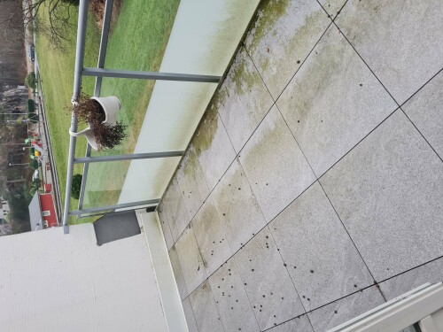 Happy Buddha Nerijus Gerve