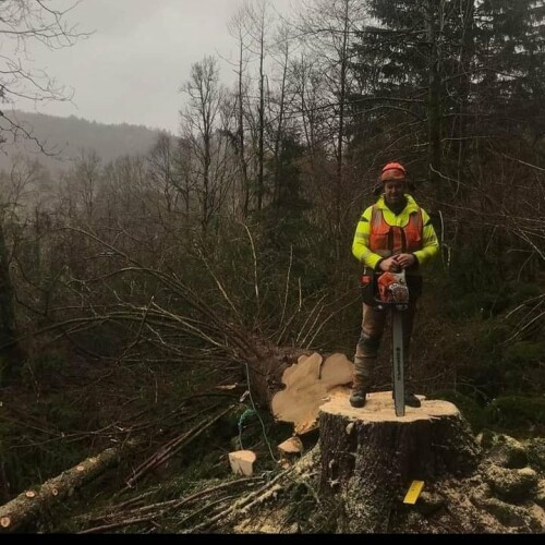 Birkeland Skog Og Maskin AS
