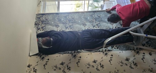 Constantin Tofolan Multiservice