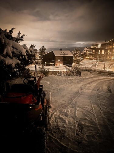 Berger Snø Og Grønt