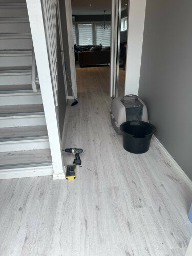 Malerfirma Sheikh-Mohamed