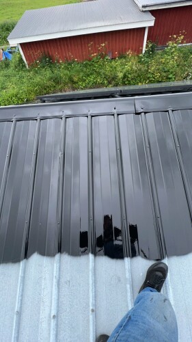 Fanebust Tak Og Fasade