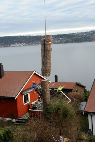 Berger Snø Og Grønt