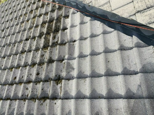 AQUAMAN SERVICE - David Jaros