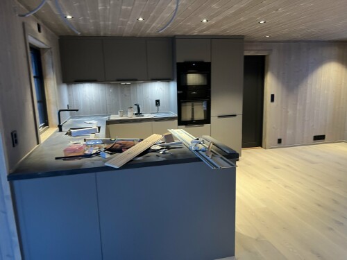 Trysil Bygg & Vaktmesterservice AS