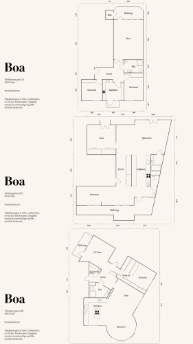 Leon Media Leon Semiray Yildirim