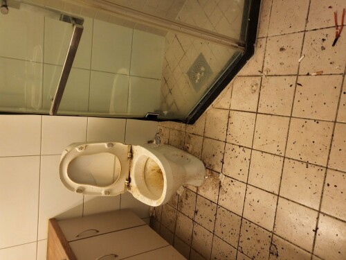 Maler & Reparasjonspartner Ceobanu