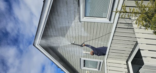 Constantin Tofolan Multiservice