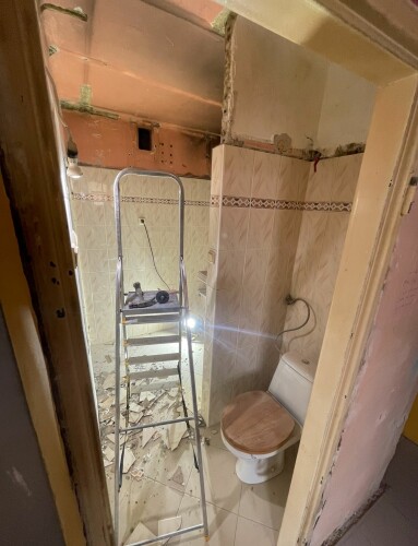 Busy Bees - Karol Pietrak