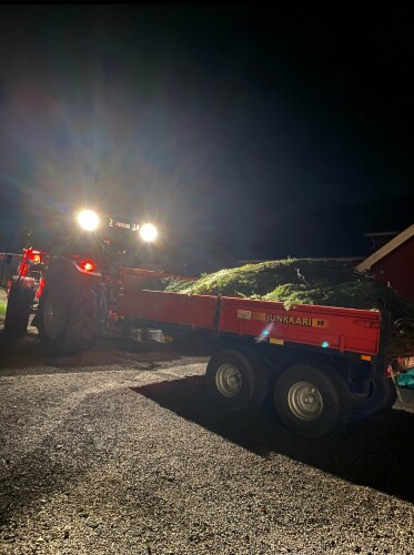 Grimstad Ved & Hageservice