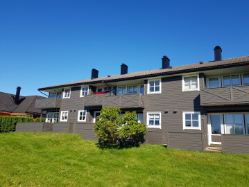 Adda Multi Service Alemu