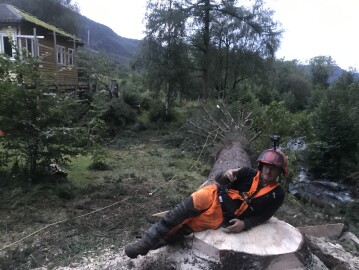 Markus Trefelling & Arborist Service Markus Trefelling & Arborist Service