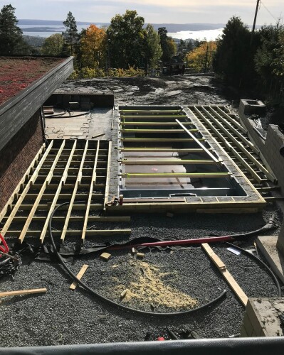 Busy Bees - Karol Pietrak