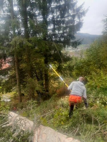 Birkeland Skog Og Maskin AS