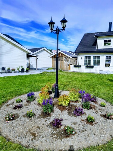 Espen Svanemsli-Dørdal