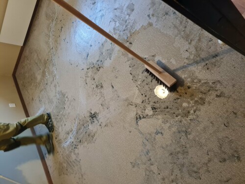 Happy Buddha Nerijus Gerve