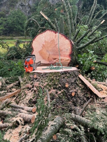 Birkeland Skog Og Maskin AS