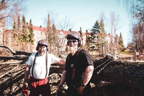 Berger Snø Og Grønt