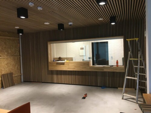 Tømrermester Darius Basinskas