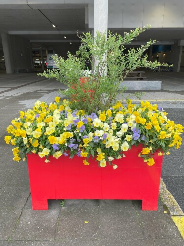 Anleggsgartnermester Svein Erik Johansen AS