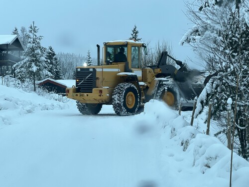 Trysil Bygg & Vaktmesterservice AS