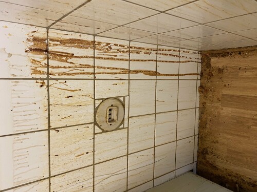 Renholdskompaniet AS