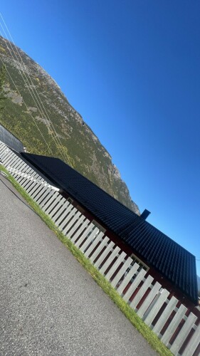 Fanebust Tak Og Fasade