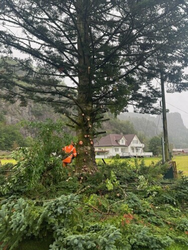 Birkeland Skog Og Maskin AS
