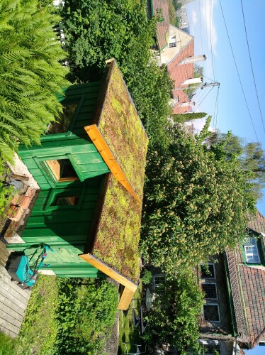 Löwenstein Tømrer AS