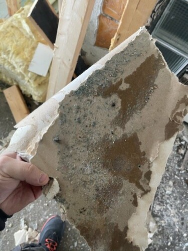 Trysil Bygg & Vaktmesterservice AS