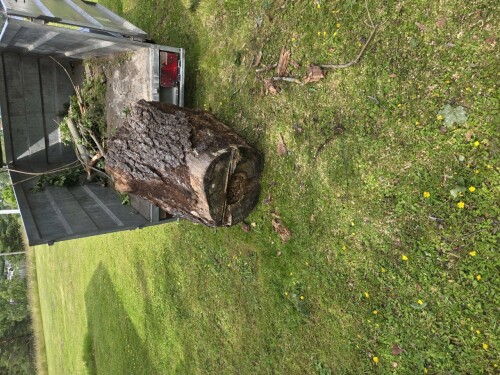 Maler & Reparasjonspartner Ceobanu