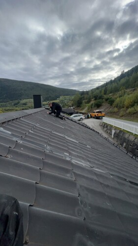 Fanebust Tak Og Fasade