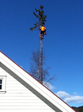 Nannestad Bygdeservice SA Nannestad Bygdeservice SA