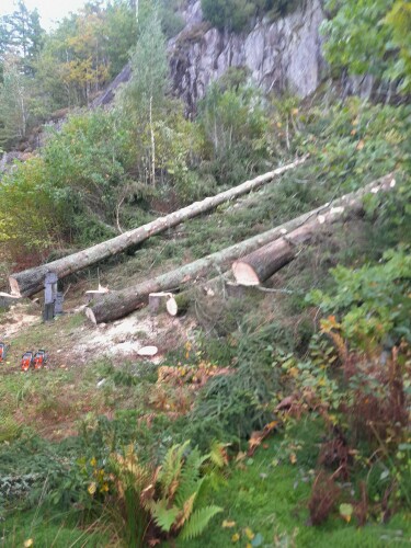 Birkeland Skog Og Maskin AS
