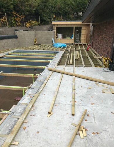 Busy Bees - Karol Pietrak