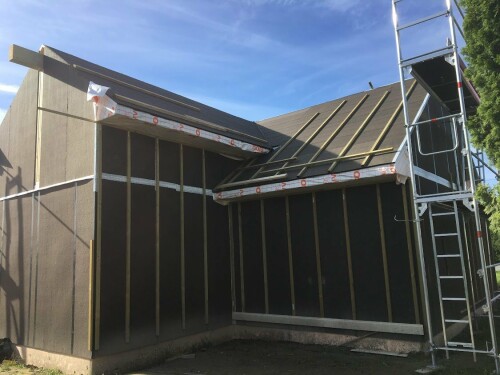 Tømrermester Darius Basinskas