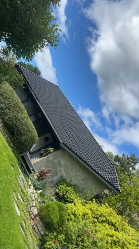 Fanebust Tak Og Fasade