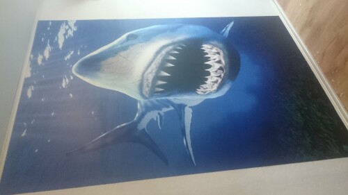 Gogis Vestland Maler