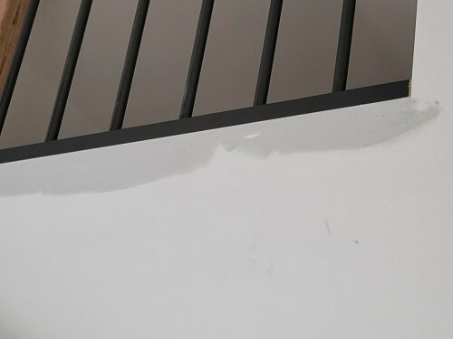 Maler & Reparasjonspartner Ceobanu