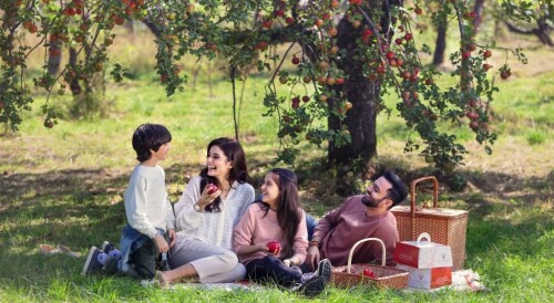 Vaktmester Og Hageservice AS