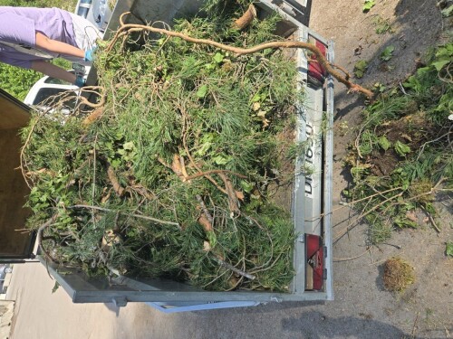 Maler & Reparasjonspartner Ceobanu