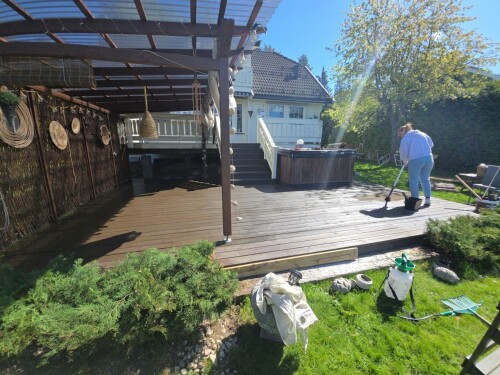 Maler & Reparasjonspartner Ceobanu