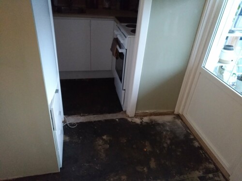 Löwenstein Tømrer AS